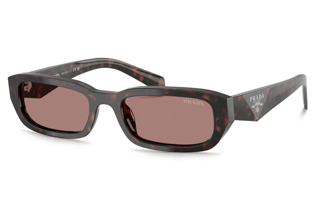 Prada - PR B06S Sunglasses Root Tortoise with Light Brown Lenses (17N60B)
