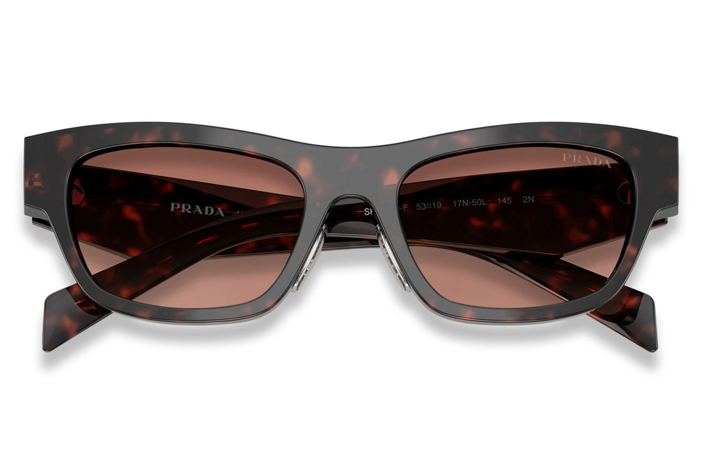 Prada - PR B09SF Sunglasses Root Tortoise with Light Brown Gradient Lenses (17N50L)