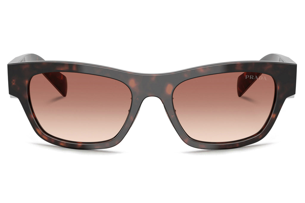 Prada - PR B09SF Sunglasses Root Tortoise with Light Brown Gradient Lenses (17N50L)