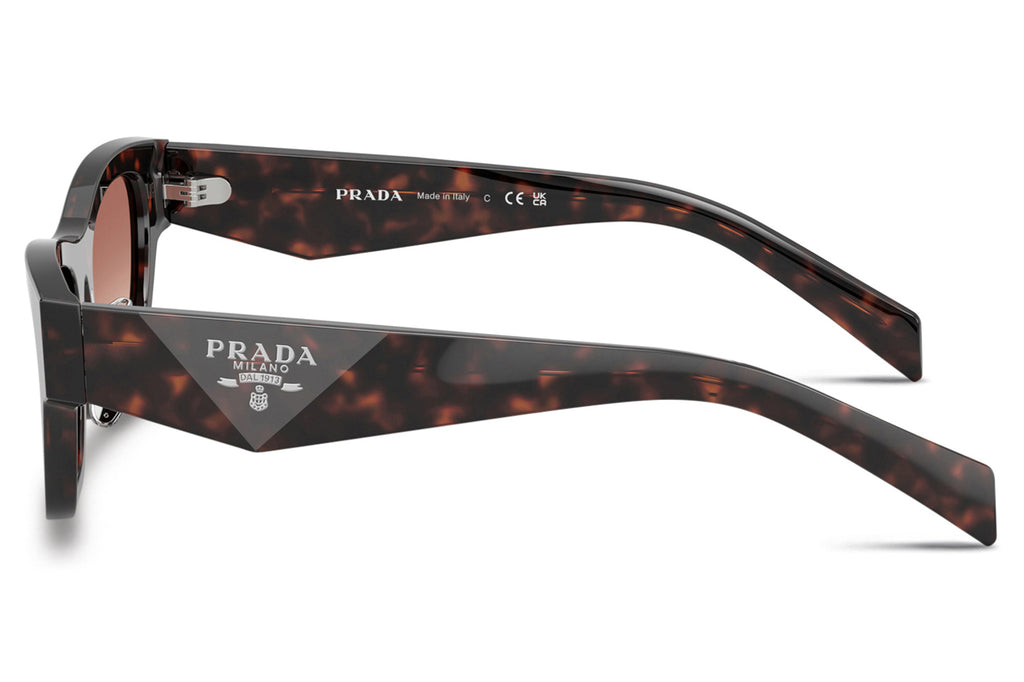 Prada - PR B09SF Sunglasses Root Tortoise with Light Brown Gradient Lenses (17N50L)