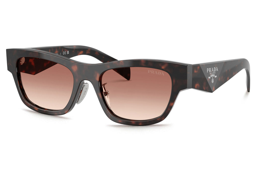 Prada - PR B09SF Sunglasses Root Tortoise with Light Brown Gradient Lenses (17N50L)