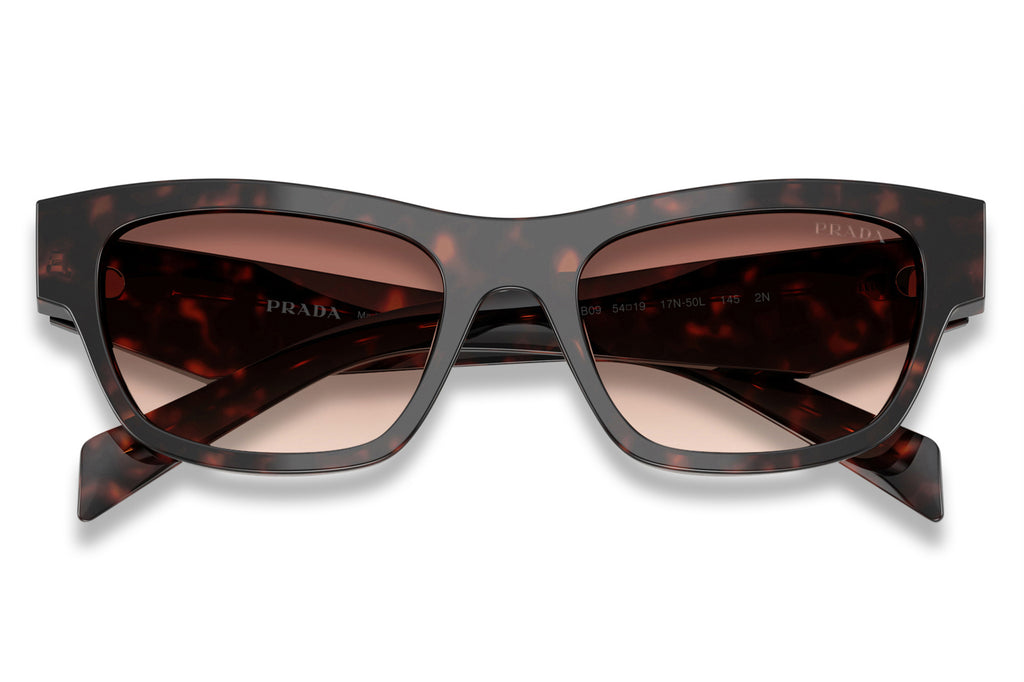 Prada - PR B09S Sunglasses Root Tortoise with Light Brown Gradient Lenses (17N50L)