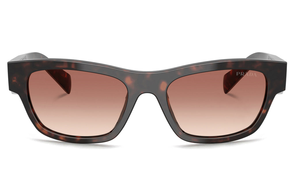 Prada - PR B09S Sunglasses Root Tortoise with Light Brown Gradient Lenses (17N50L)