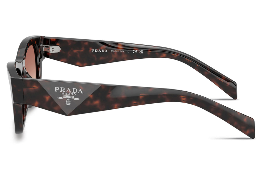Prada - PR B09S Sunglasses Root Tortoise with Light Brown Gradient Lenses (17N50L)