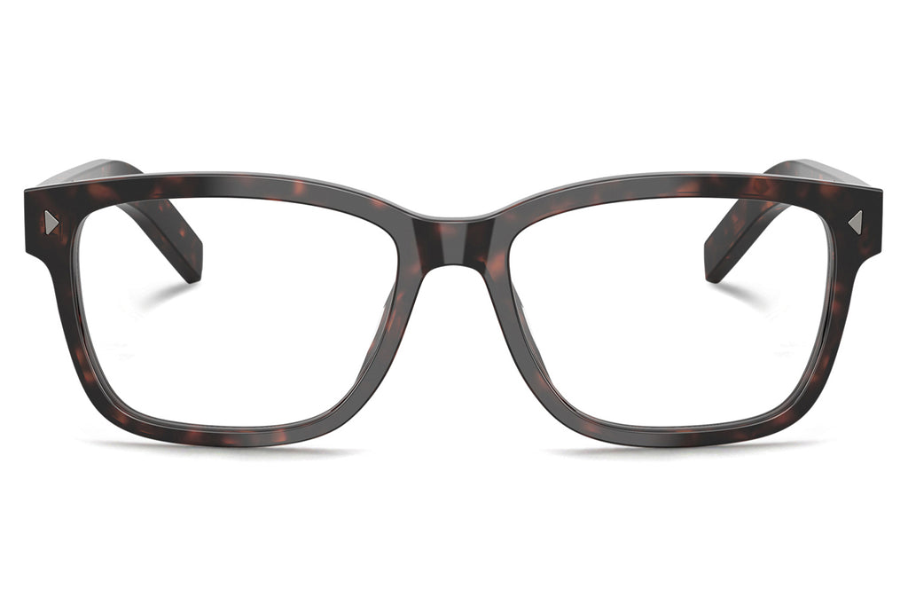 Prada - PR B10V Eyeglasses Root Tortoise (17N1O1)