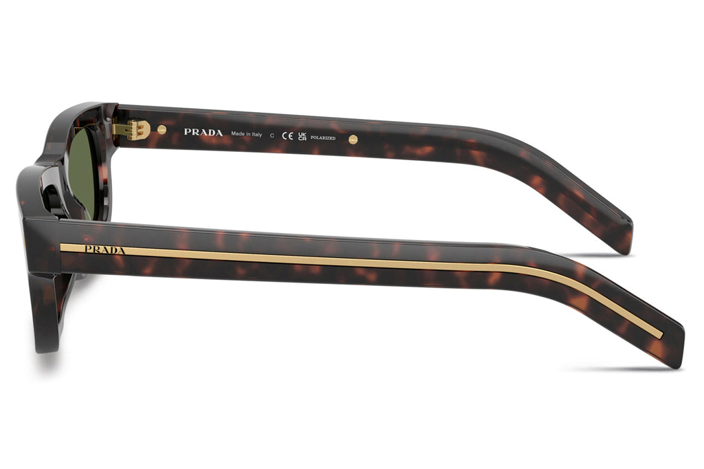 Prada - PR B11SF Sunglasses Root Tortoise with Green Polar Lenses (17N20G)