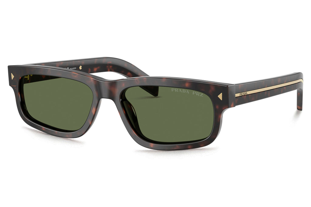 Prada - PR B11SF Sunglasses Root Tortoise with Green Polar Lenses (17N20G)