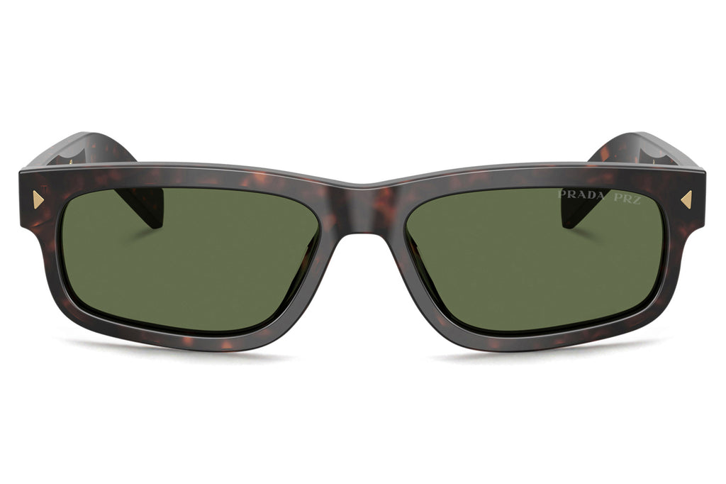 Prada - PR B11S Sunglasses Root Tortoise with Green Polar Lenses (17N20G)
