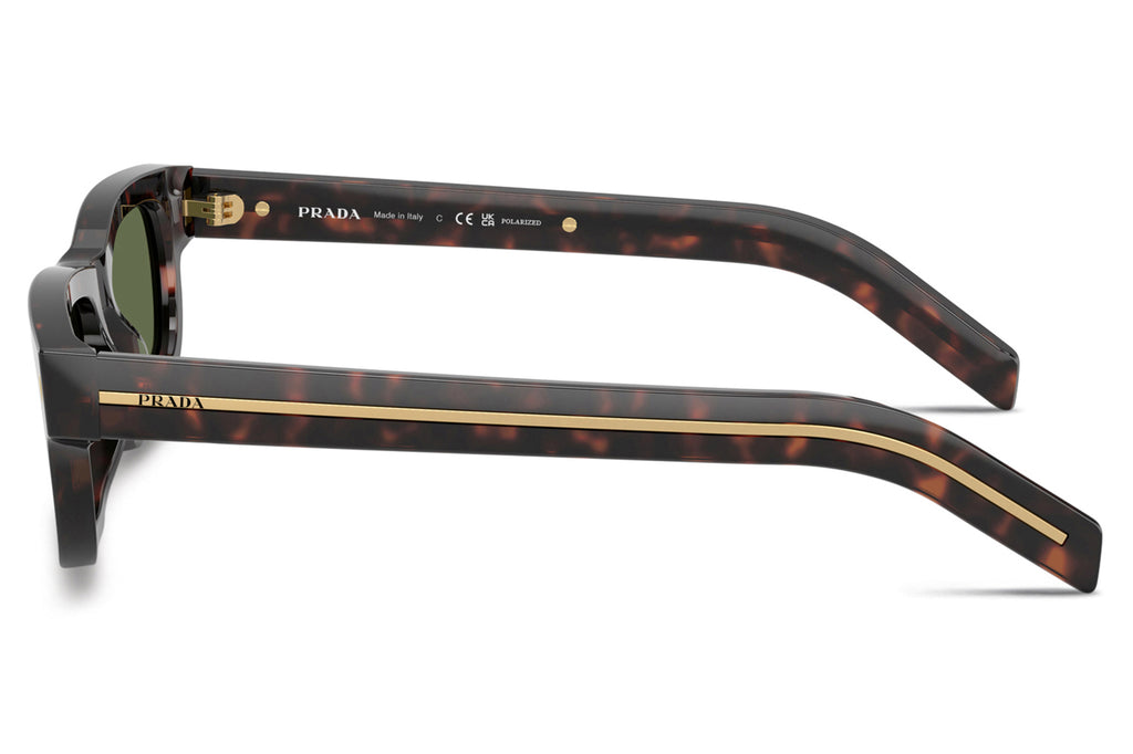 Prada - PR B11S Sunglasses Root Tortoise with Green Polar Lenses (17N20G)