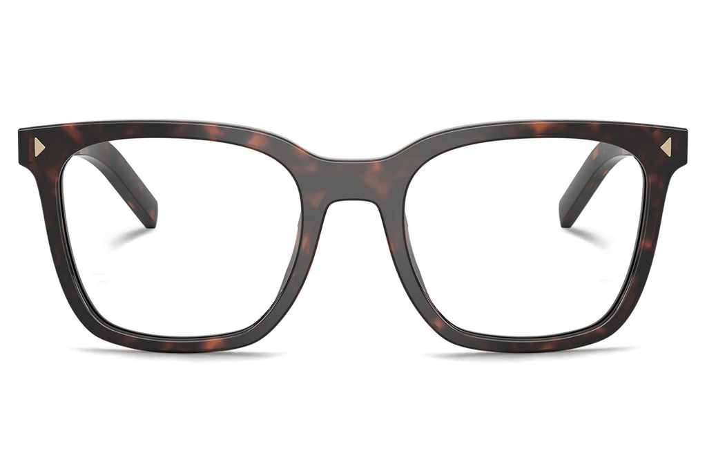 Prada - PR B11V Eyeglasses Root Tortoise (17N1O1)