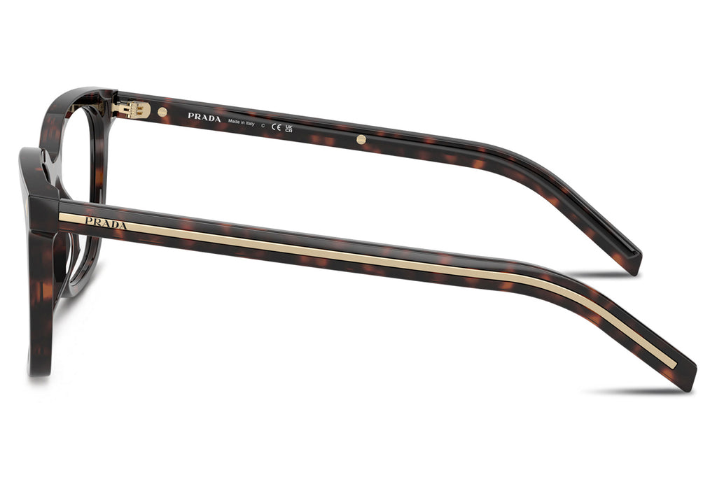 Prada - PR B11V Eyeglasses Root Tortoise (17N1O1)