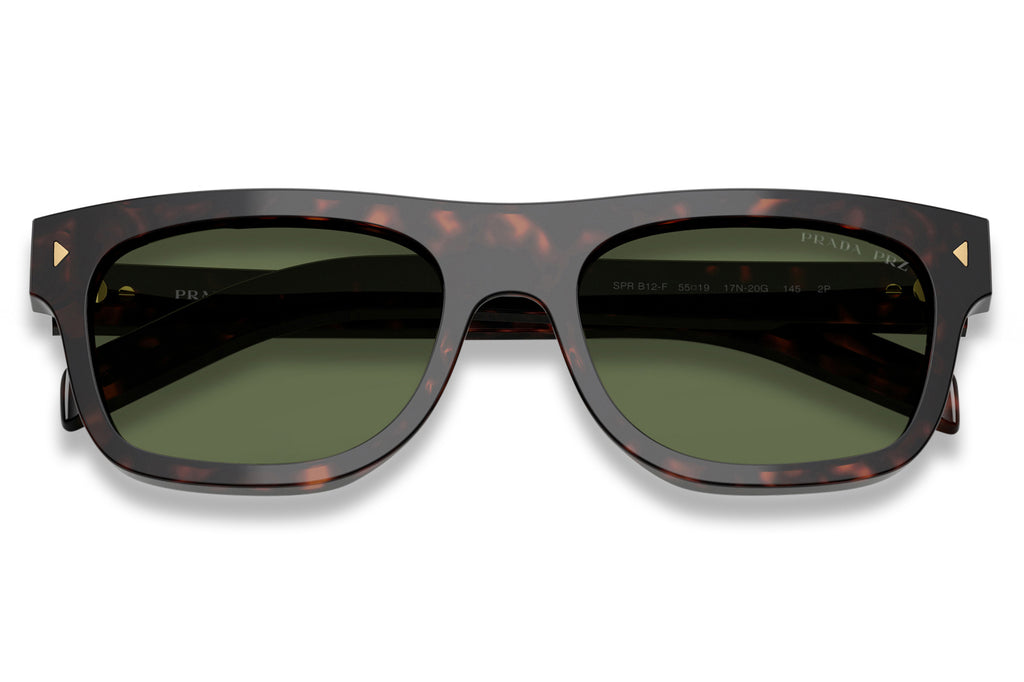 Prada - PR B12SF Sunglasses Root Tortoise with Green Polar Lenses (17N20G)