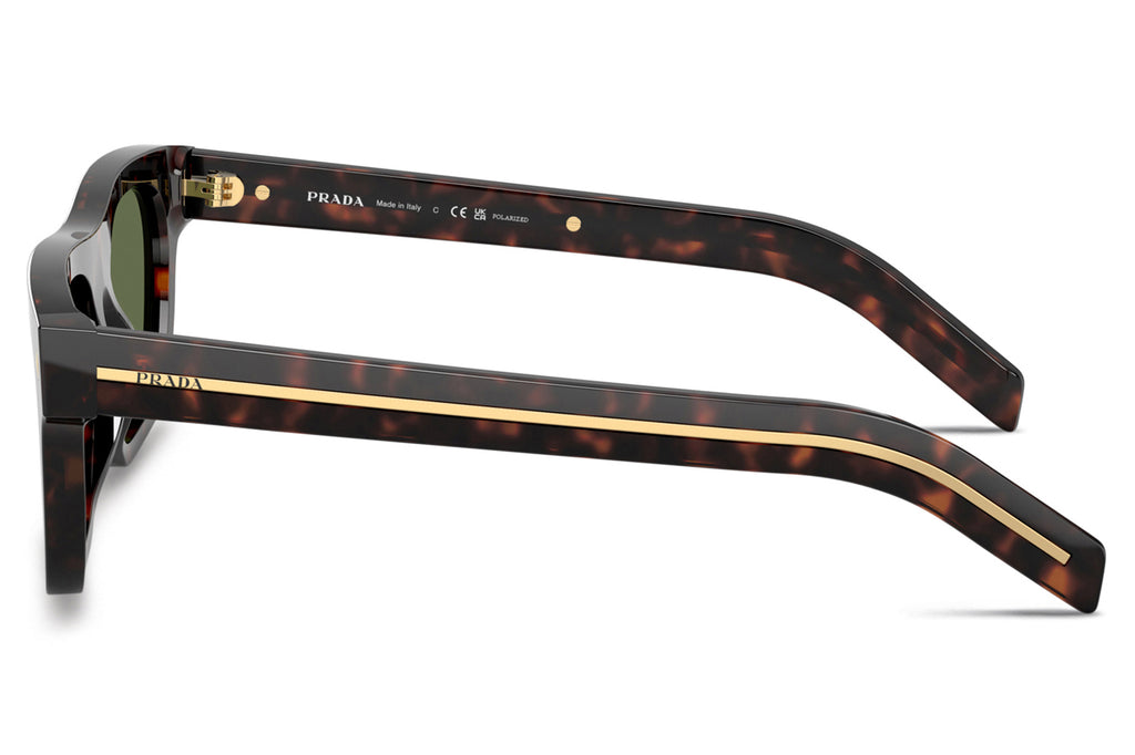 Prada - PR B12SF Sunglasses Root Tortoise with Green Polar Lenses (17N20G)