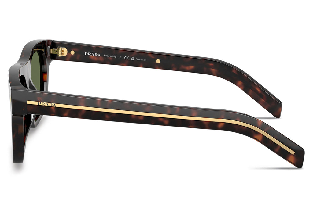 Prada - PR B12S Sunglasses Root Tortoise with Green Polar Lenses (17N20G)