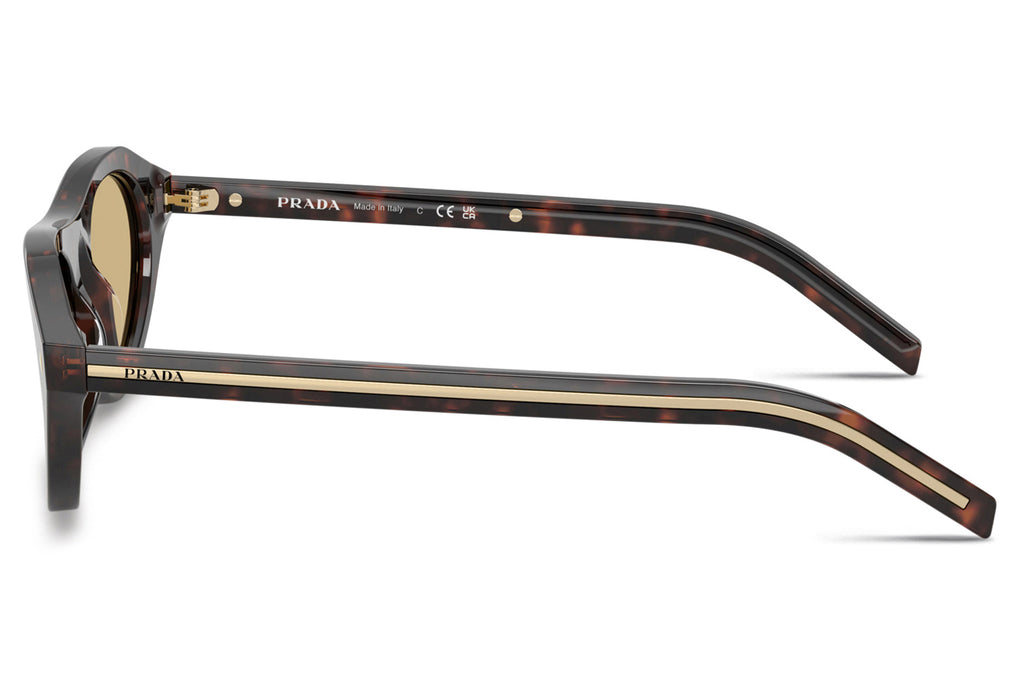Prada - PR B15SF Sunglasses Root Tortoise with Light Brown Lenses (17N70R)