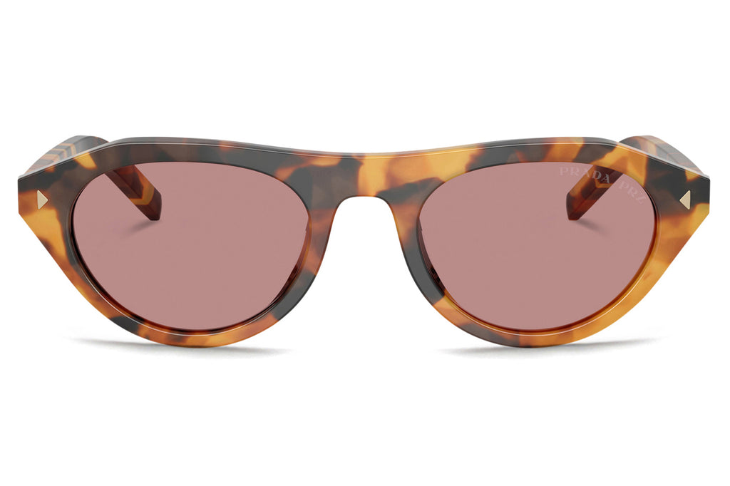 Prada - PR B15SF Sunglasses Pecan with Brown Lenses (28D02T)