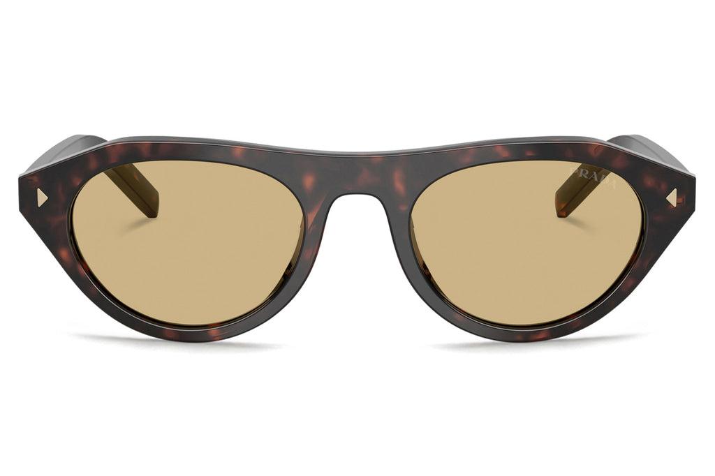 Prada - PR B15S Sunglasses Root Tortoise with Light Brown Lenses (17N70R)
