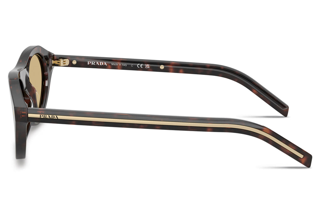 Prada - PR B15S Sunglasses Root Tortoise with Light Brown Lenses (17N70R)