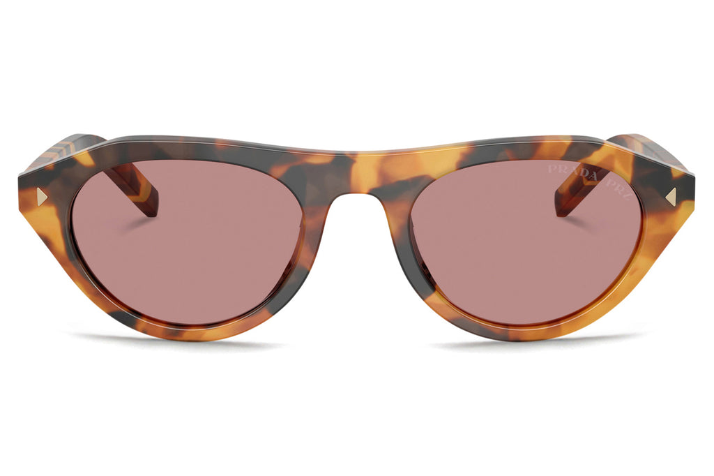 Prada - PR B15S Sunglasses Pecan with Brown Lenses (28D02T)