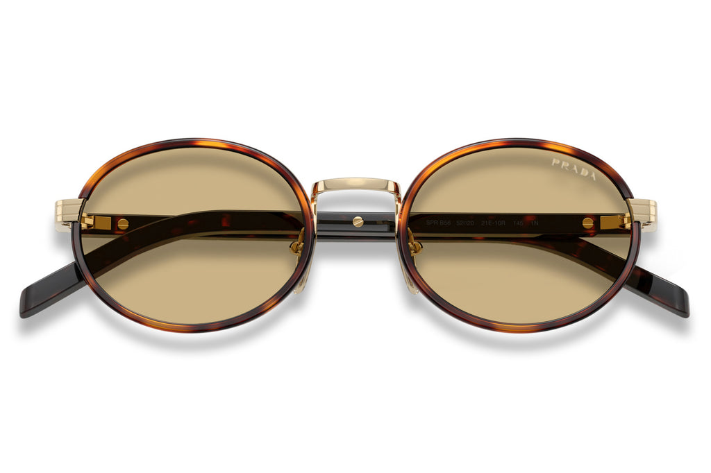 Prada - PR B56S Sunglasses Root Tortoise with Lente Camomilla Bio Lenses (21E10R)
