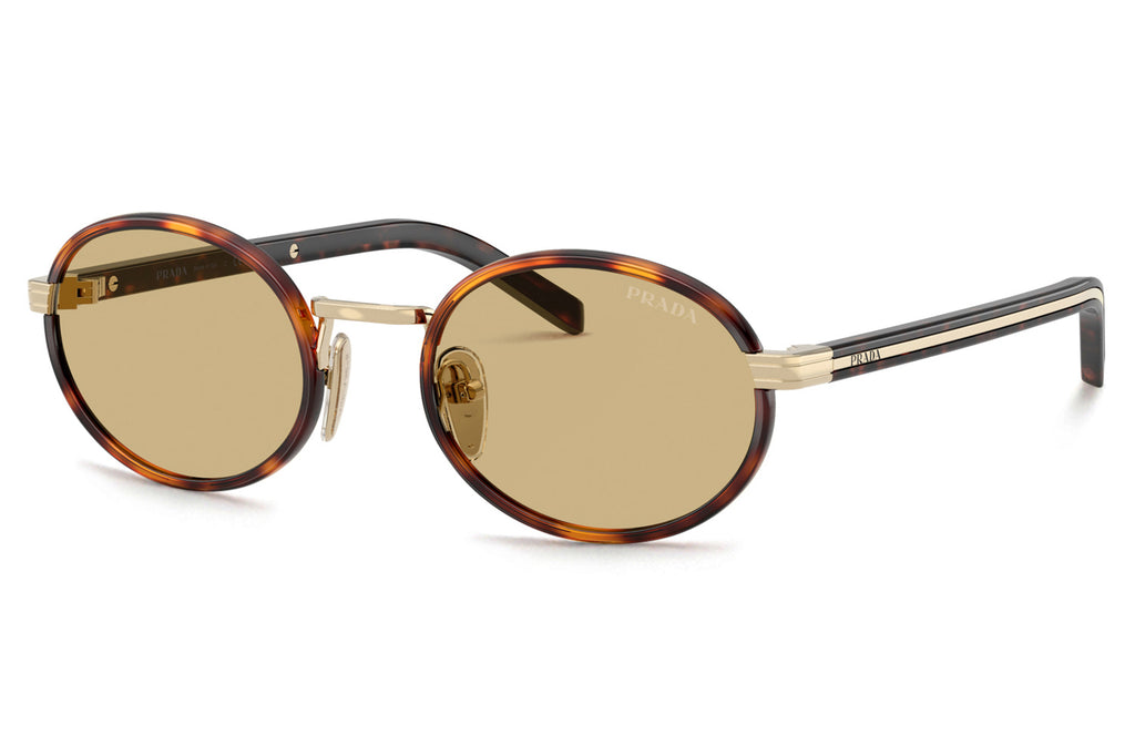 Prada - PR B56S Sunglasses Root Tortoise with Lente Camomilla Bio Lenses (21E10R)