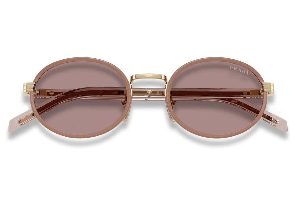 Prada - PR B56S Sunglasses Pecan with Light Purple Brown Lenses (24E20I)