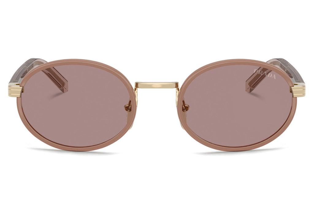 Prada - PR B56S Sunglasses Pecan with Light Purple Brown Lenses (24E20I)
