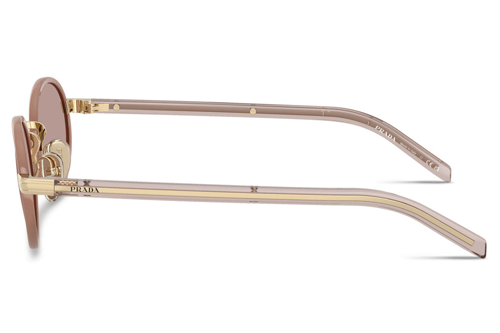 Prada - PR B56S Sunglasses Pecan with Light Purple Brown Lenses (24E20I)