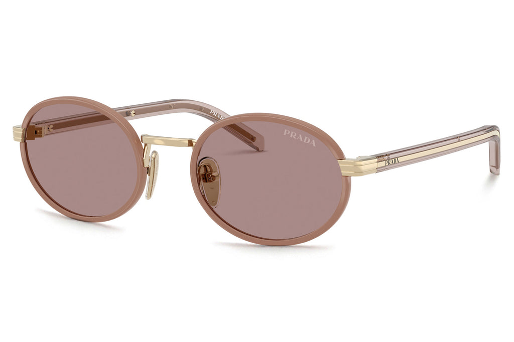 Prada - PR B56S Sunglasses Pecan with Light Purple Brown Lenses (24E20I)