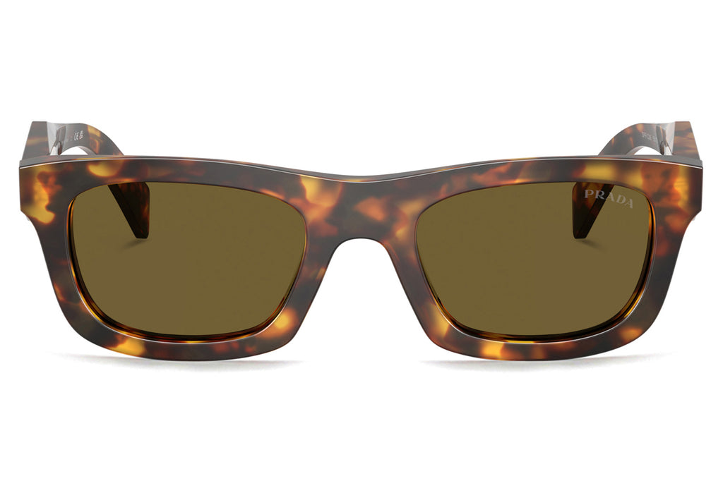 Prada - PR C06S Sunglasses | Specs Collective