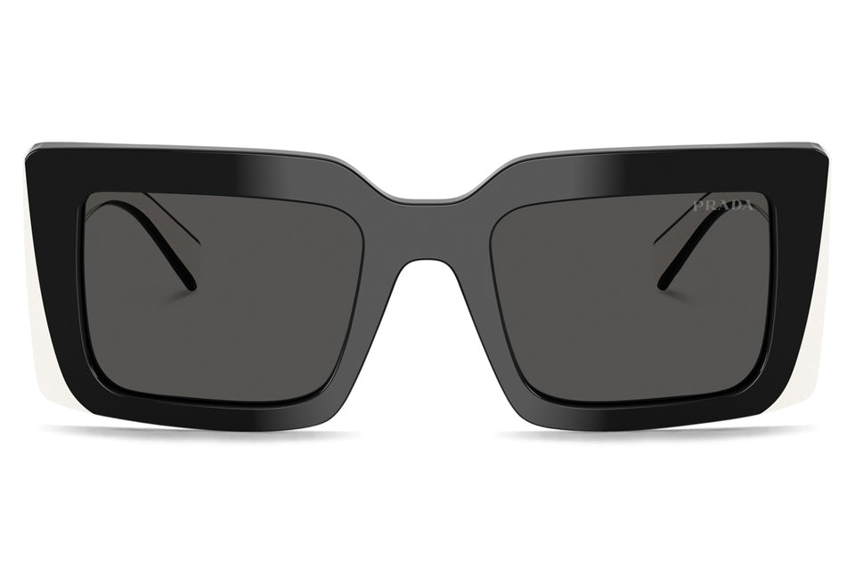 PR D01S