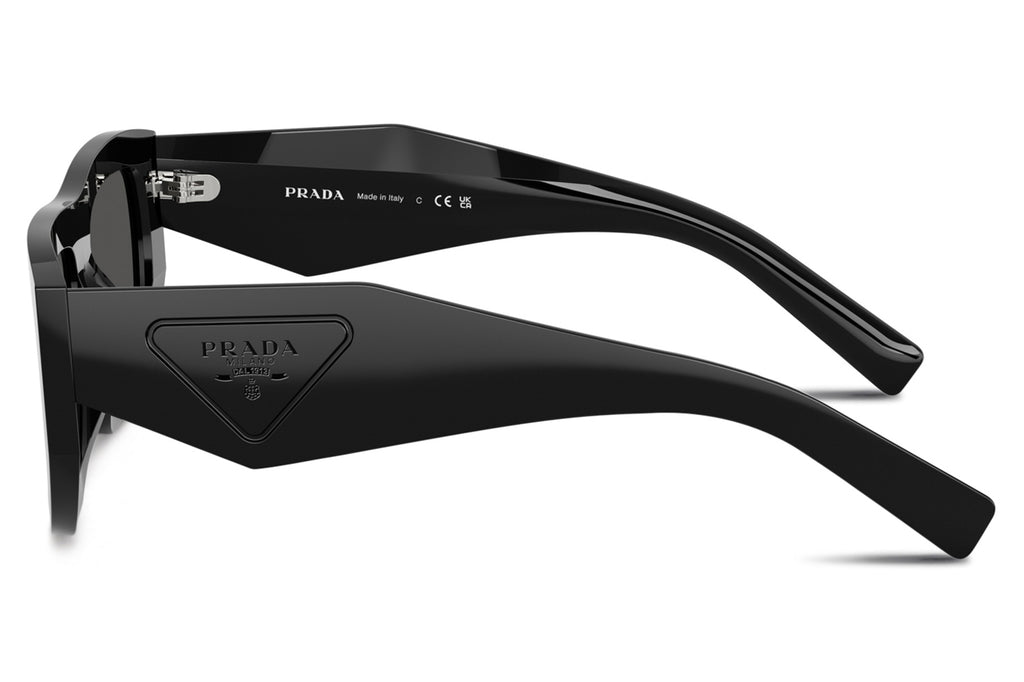 Prada® - PR D04SU | Rectangular Acetate Sunglasses display picture 2