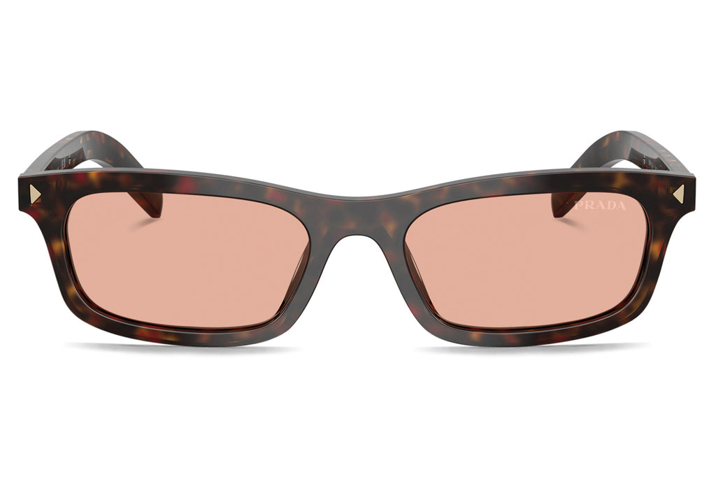 Prada® - PR D05SF | Rectangular Acetate Sunglasses