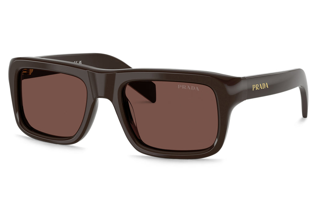 Prada® - PR D11SF | Rectangular Acetate Sunglasses