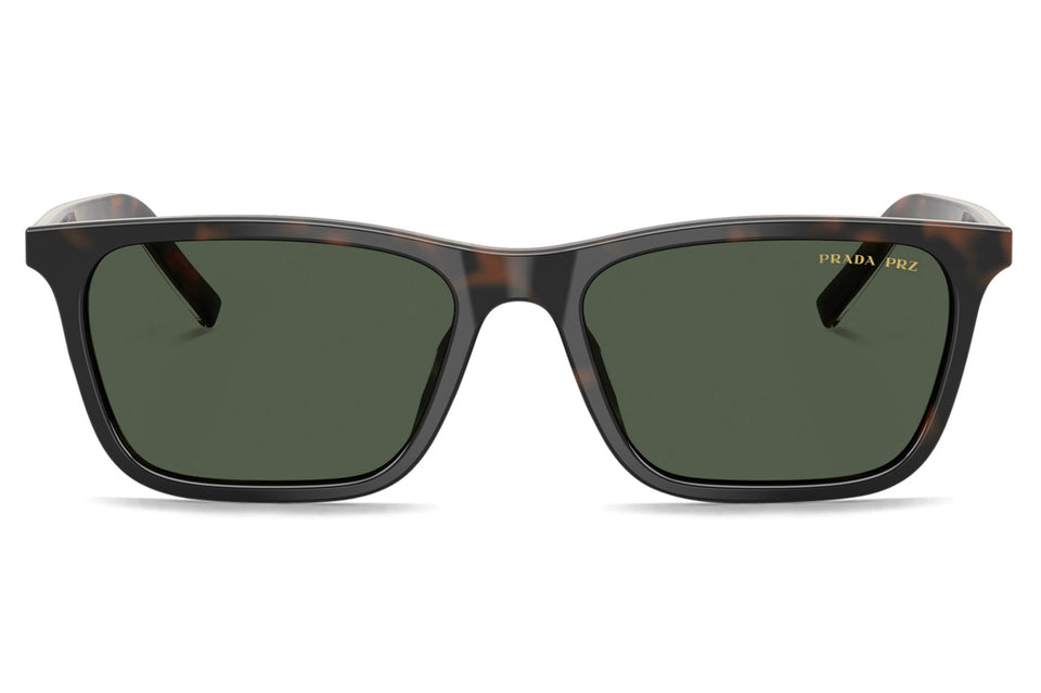 PR D19SF (Low Bridge Fit)
