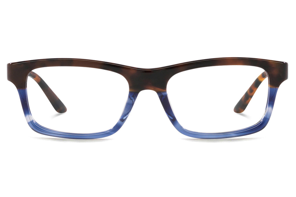 Starck Biotech - SH3091 Eyeglasses Havana/Blue