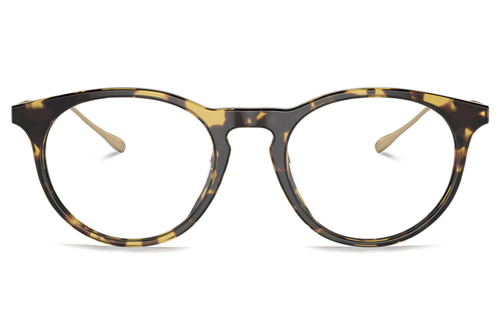 Starck Biotech - SH3092 Eyeglasses Havana