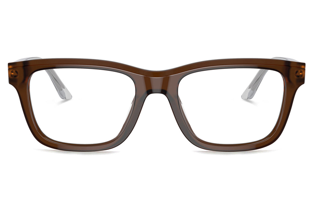 Starck Biotech - SH3094 Eyeglasses Transparent Brown