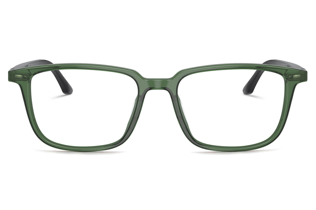 Starck Biotech - SH3098 Eyeglasses Transparent Green