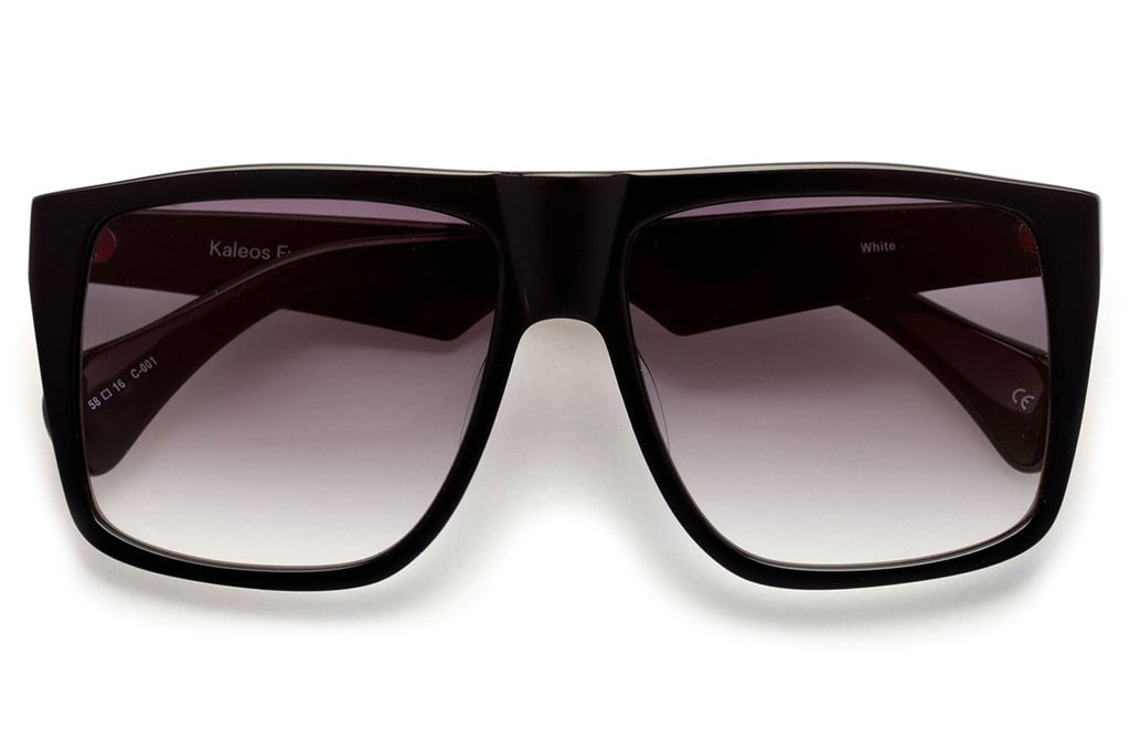 Kaleos Eyehunters - White Sunglasses Black