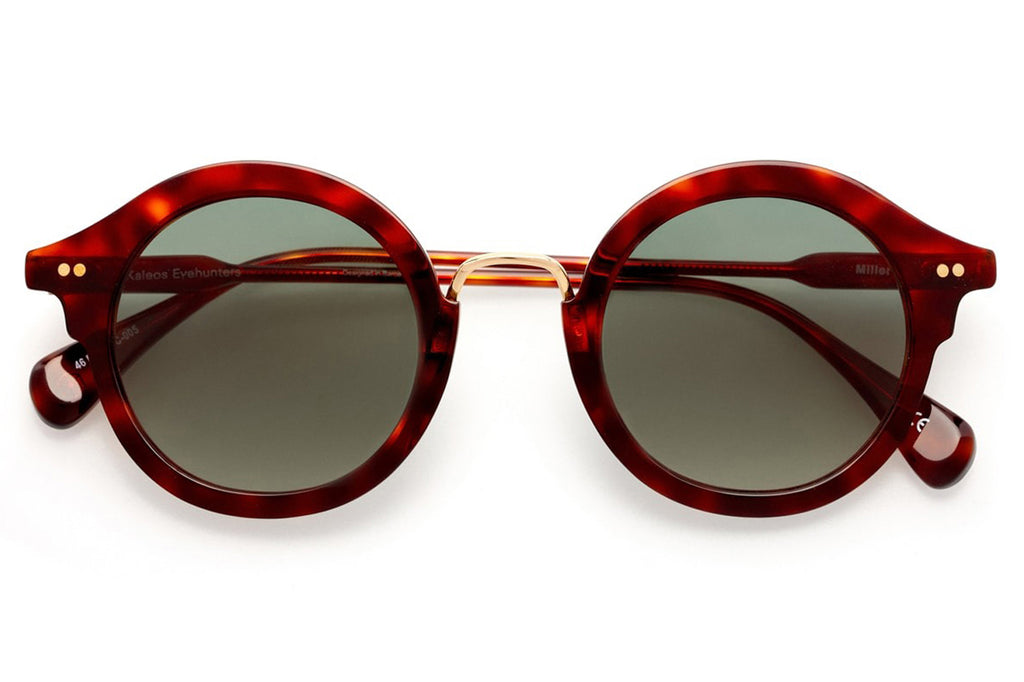 Kaleos Eyehunters - Miller Sunglasses Red Tortoise