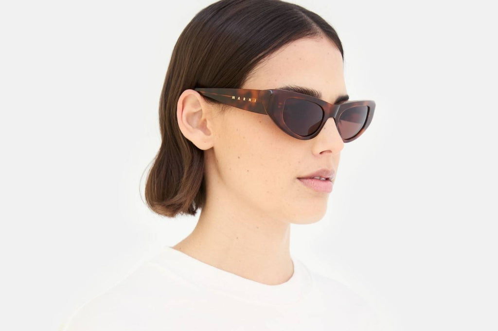 Marni® - Netherworld Sunglasses Havana