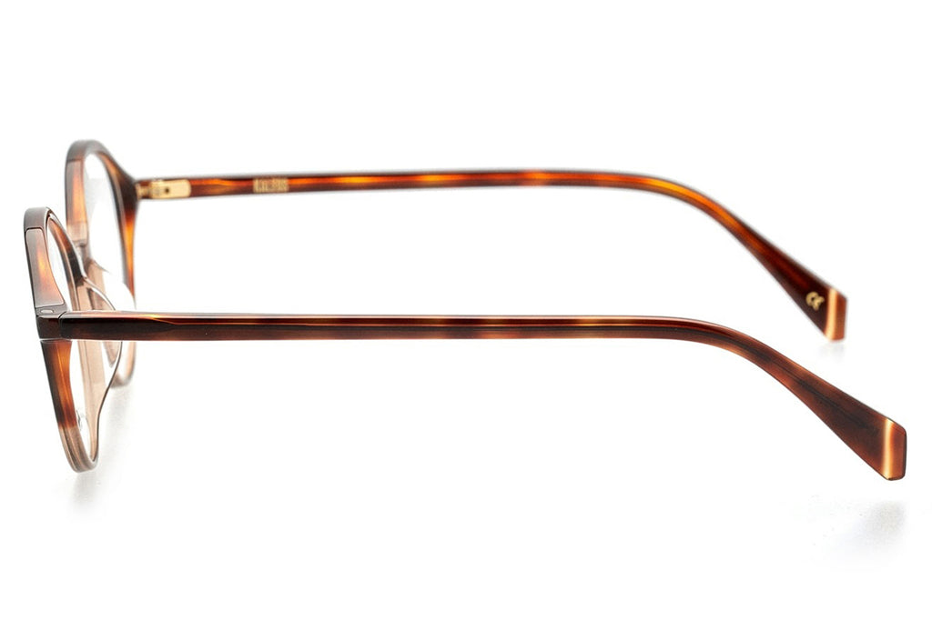 Kaleos Eyehunters - Gale Eyeglasses Transparent Brown/Dark Brown Tortoise
