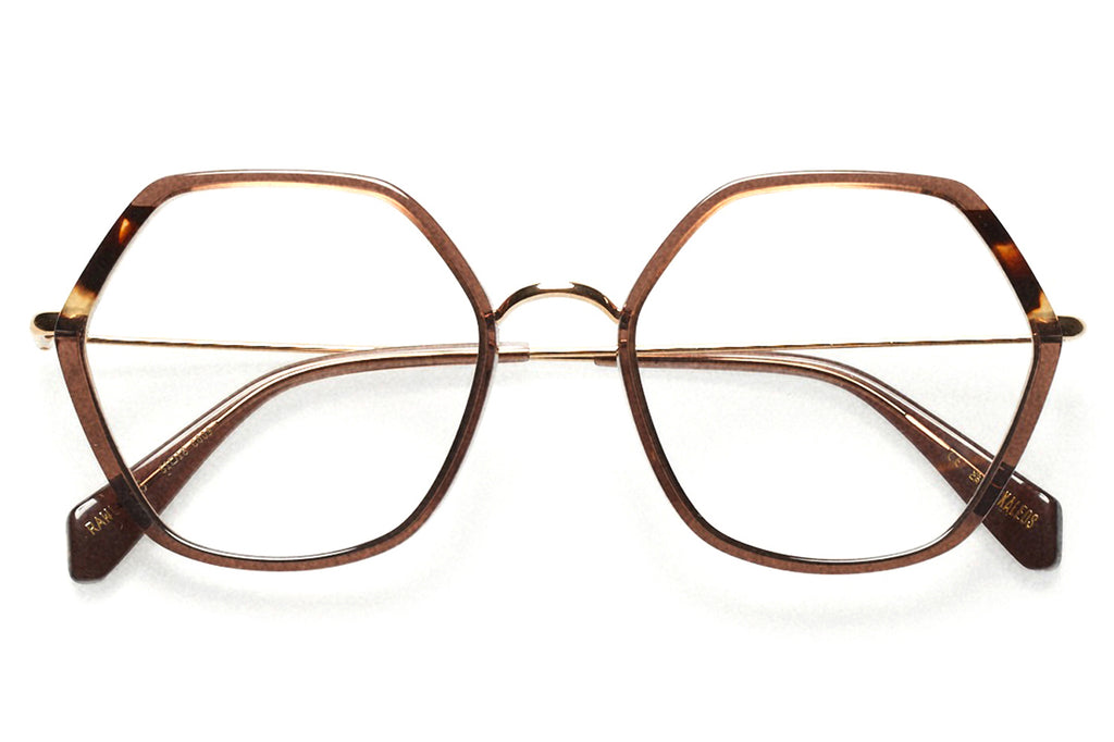Kaleos Eyehunters - Rawlings Eyeglasses Transparent Brown/Brown Tortoise