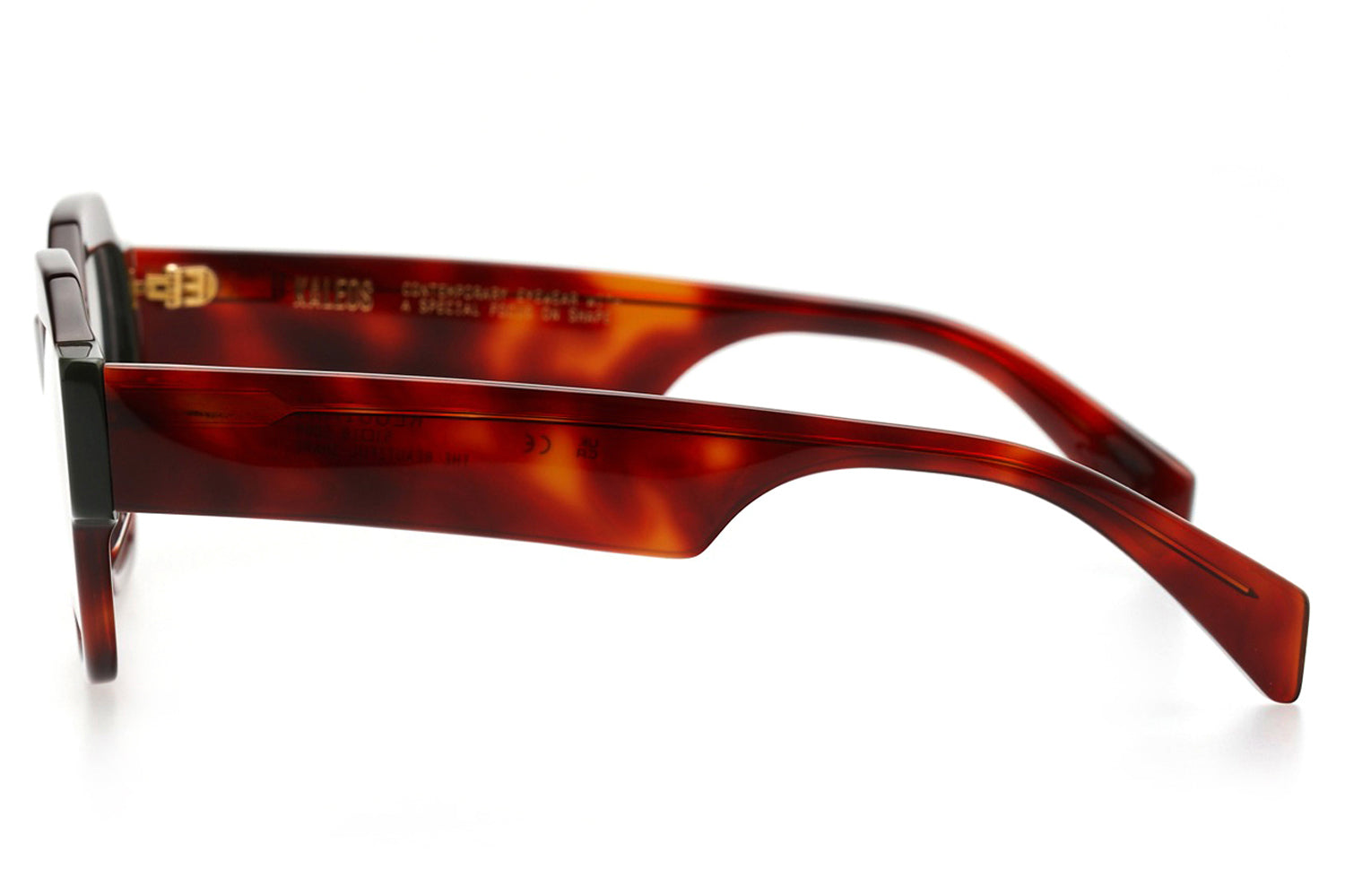 Kaleos Eyehunters - Reggiani Eyeglasses | Specs Collective