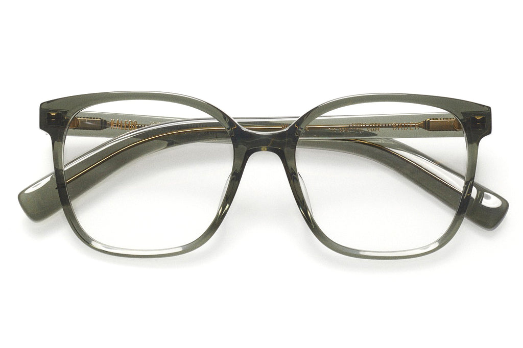 Kaleos Eyehunters - Bader Eyeglasses Transparent Opaque Green