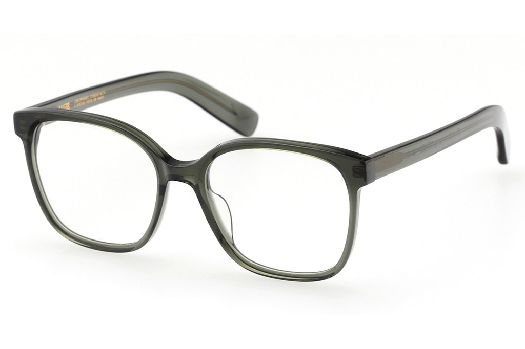 Kaleos Eyehunters - Bader Eyeglasses Transparent Opaque Green
