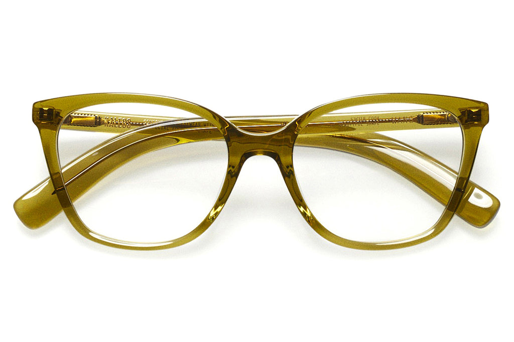Kaleos Eyehunters - Wang Eyeglasses Transparent Olive Green
