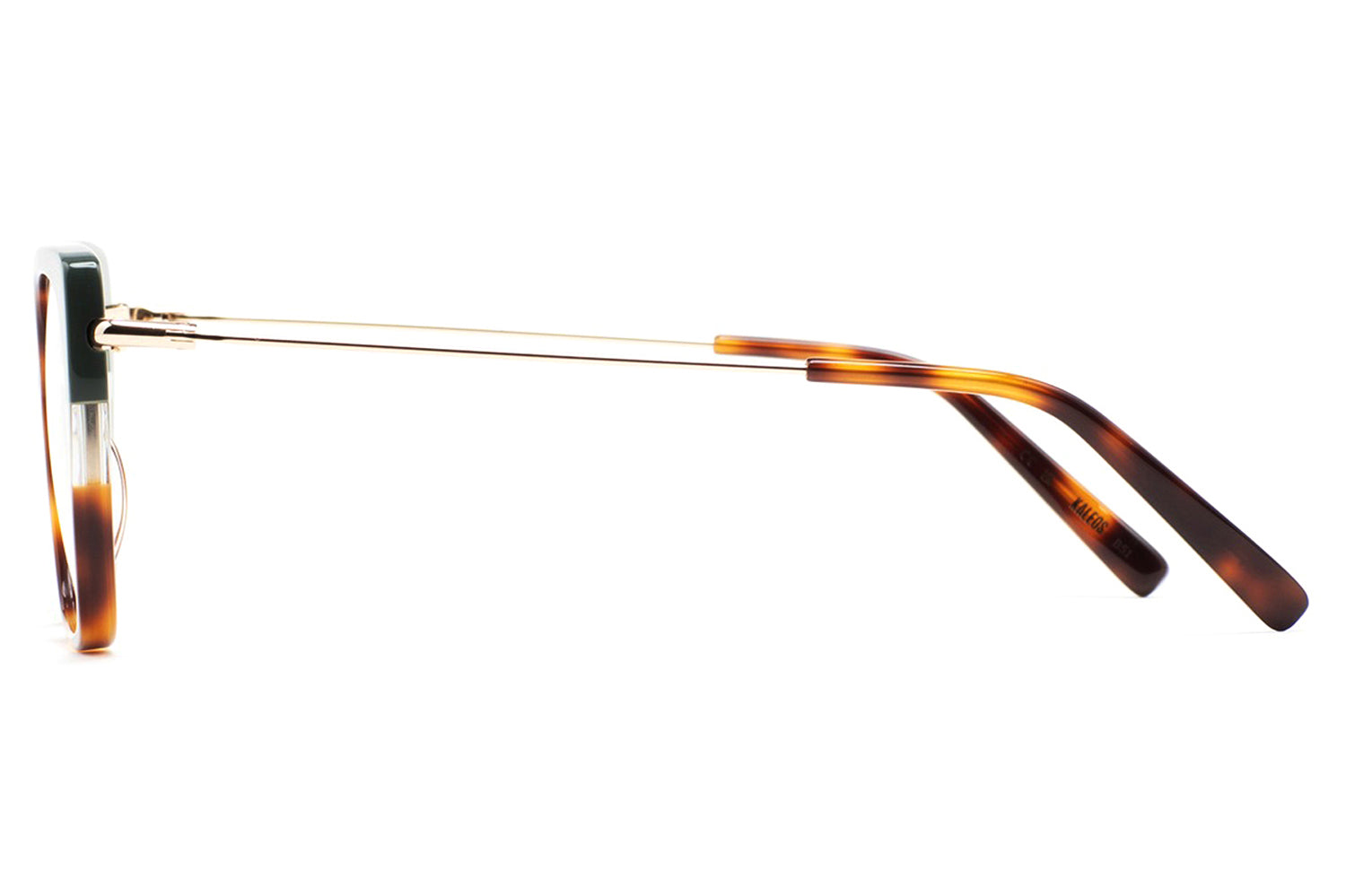 Kaleos Eyehunters - Steele Eyeglasses | Specs Collective
