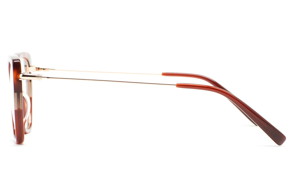 Kaleos Eyehunters - Steele Eyeglasses Translucent Brown/Brown Havana